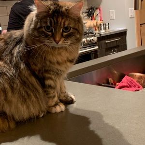 Meet your Posher, Logan